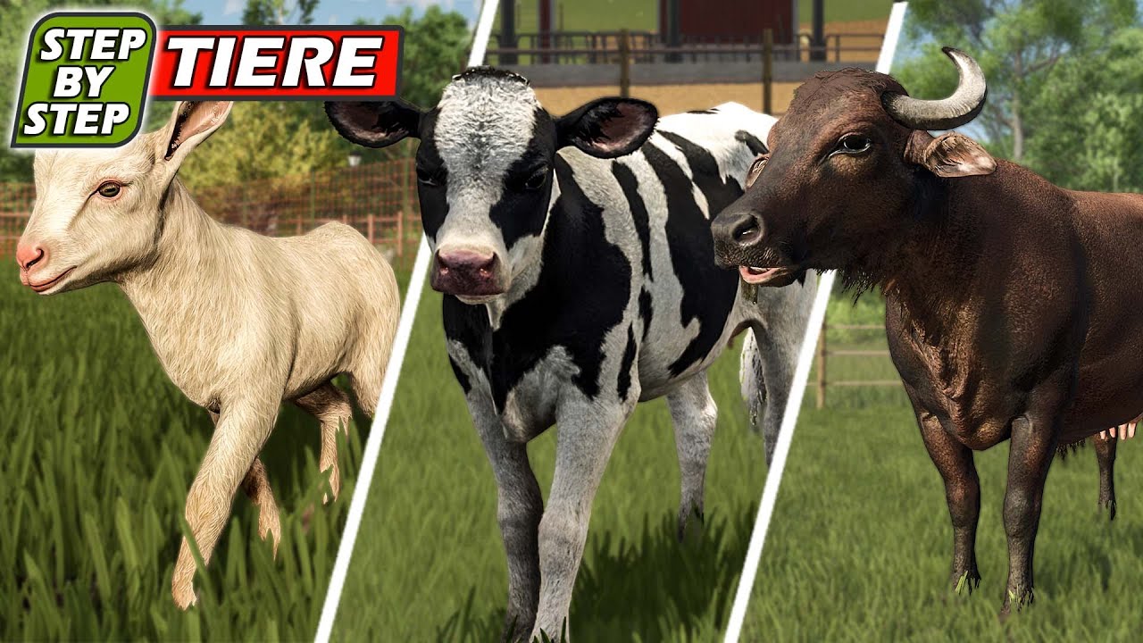 LS25: TIERE - Wasserbüffel, Ziegen, Schweine, Schafe, Pferde, Kühe halten | Farming Simulator 25?!