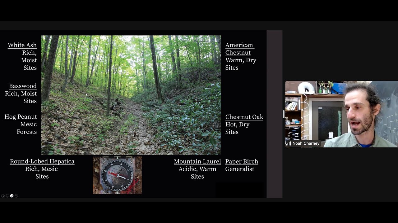 Feb 12, 2024 Tree Stories Dr Noah Charney