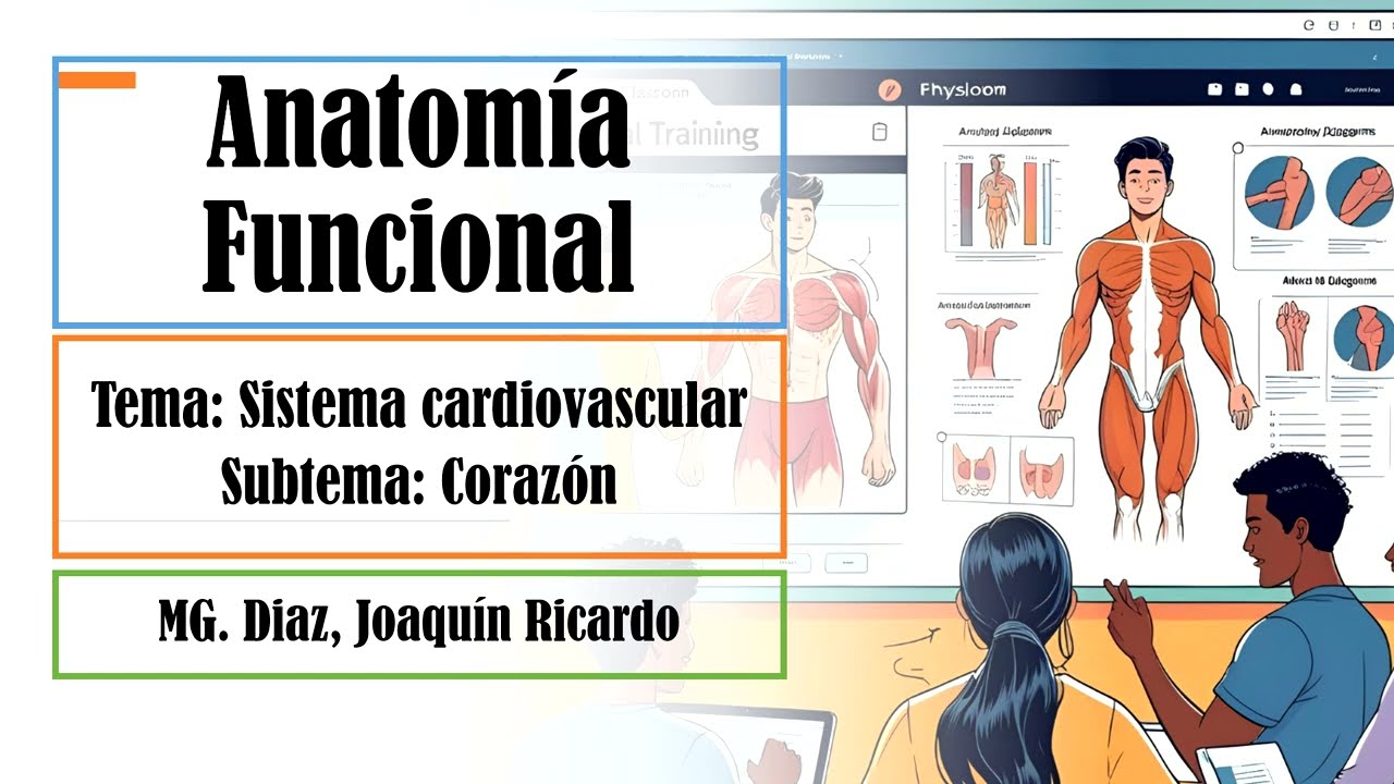 🎥 Sistema Cardiovascular – 2 – Corazón