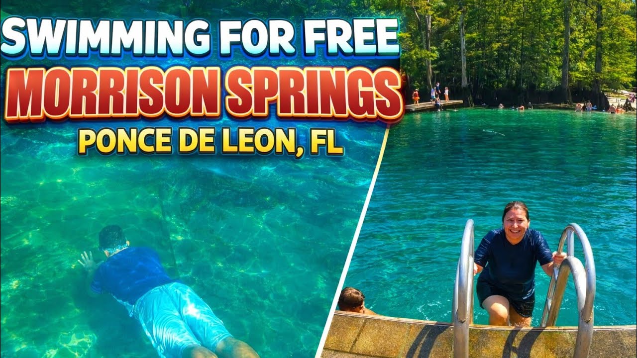 Morrison Springs: The Cheap Swimming Hole You NEED to Visit
