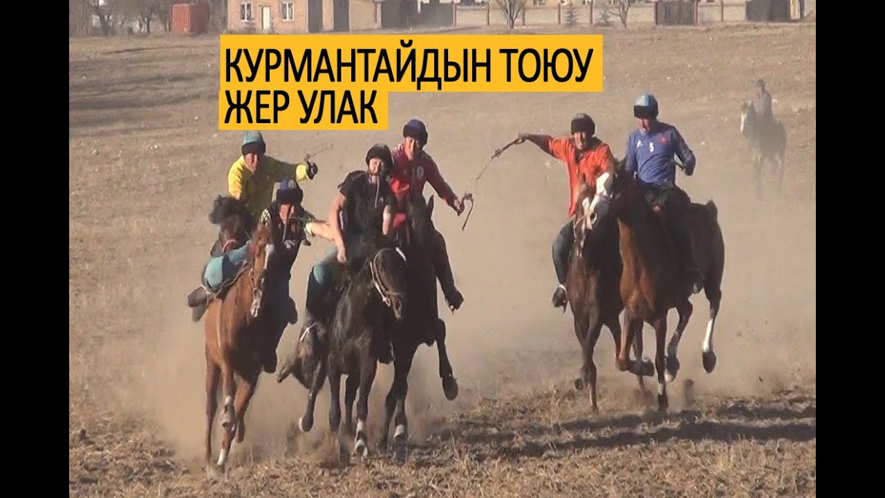 Жер улак: күчтүү командалар келишти//Курмантай Айтбаевдин тоюу
