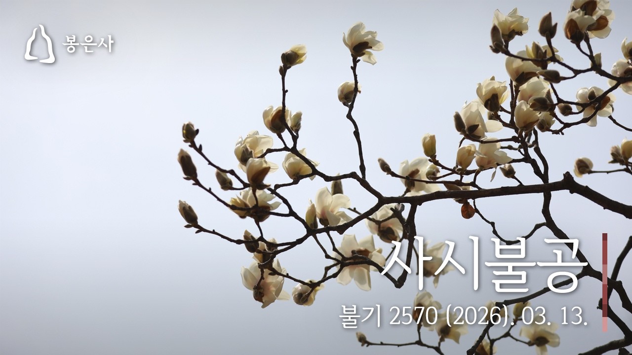 봉은사 사시불공 (2026.03.13.)