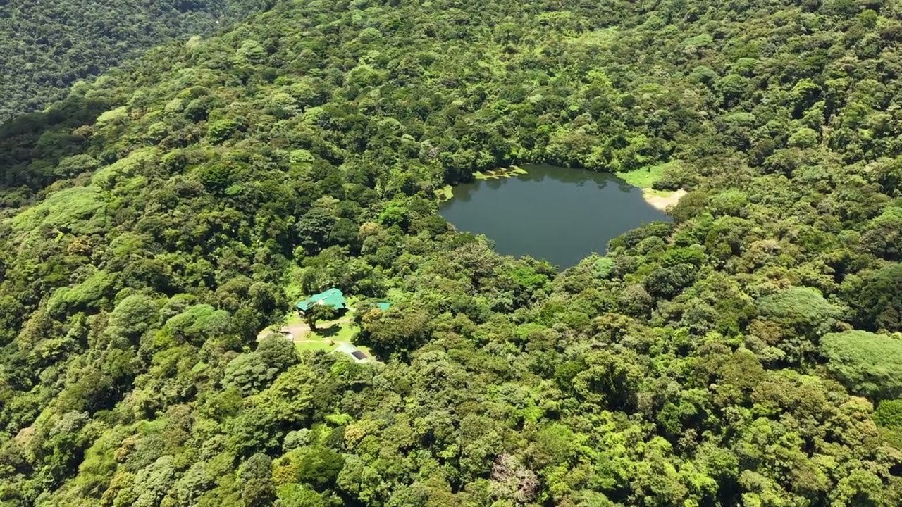 Children's Eternal Rainforest POCOSOL STATION