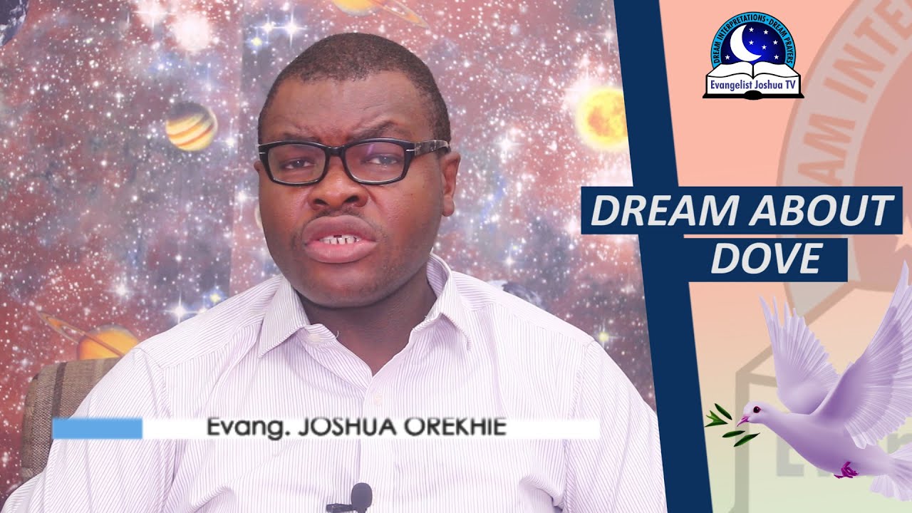 DREAM ABOUT (WHITE) DOVE - Find Out The Biblical And Spiritual Meaning