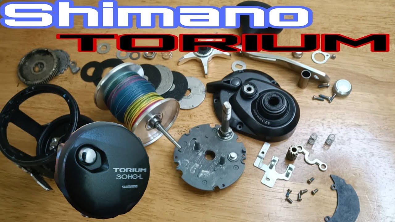 Shimano Torium 30hg-L bongkar