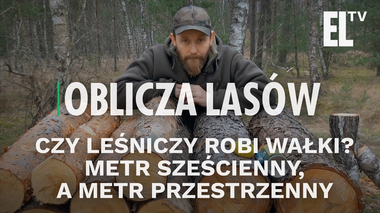 Czy leśniczy robi wałki? Metr sześcienny, a metr przestrzenny | Oblicza Lasów #52