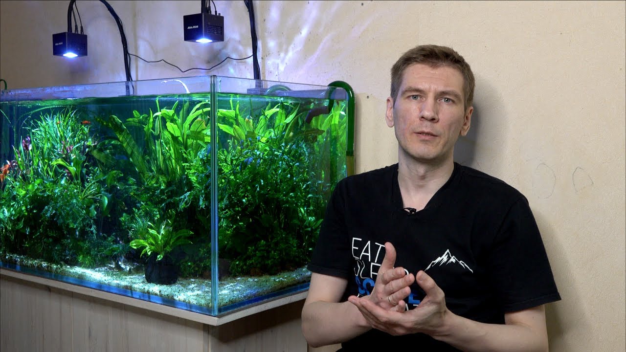 Пять причин для перезапуска аквариума