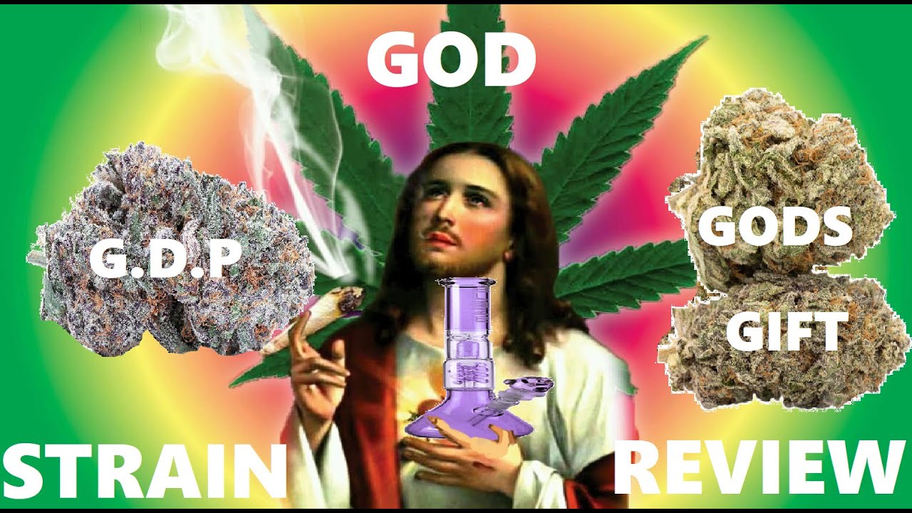 GOD Reviews GDP Gods Deep Purple & Gods Gift Strain Review