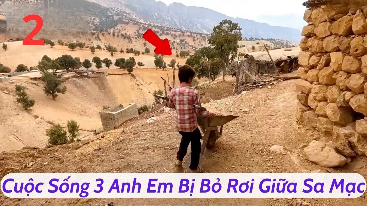 [Hamid] Tập 2: Bị Mẹ Bỏ Rơi, Hamid Ra Sức Làm Lụng Vất Vả Nuôi 2 Em Nhỏ - Review Phim Iran