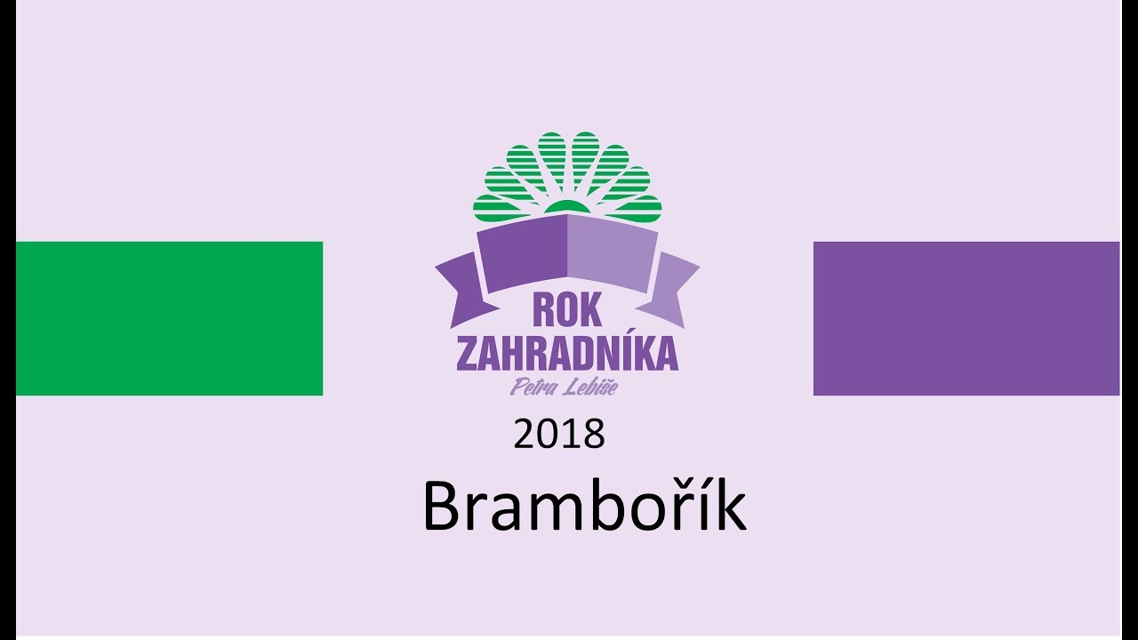 Brambořík