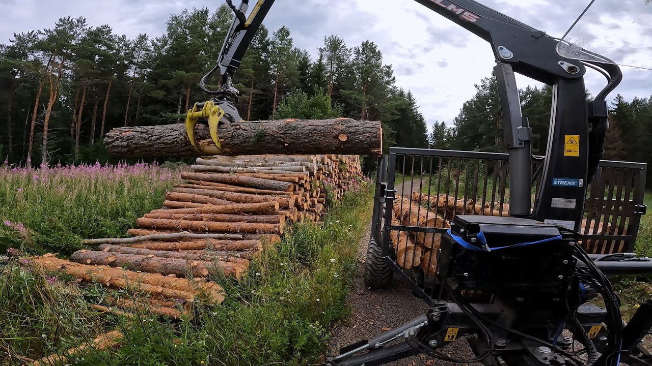 Hirviömännyt energiapinoon. Zetor 8145 Turbo, Palms 3.67 8SX