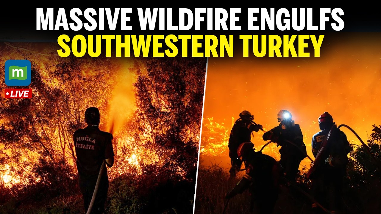 🔴LIVE: Massive Wildfire Engulfs Southwestern Turkey | Firefighters Battle Raging Blaze | N18G