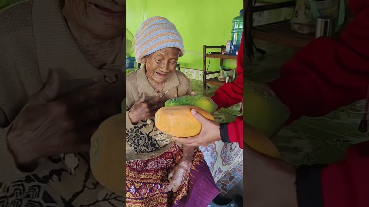 คุณยายจะสอยมะละกอเอง #buapan  #มะละกอสุก #วิถีชนบท #พืชผักสวนครัว 