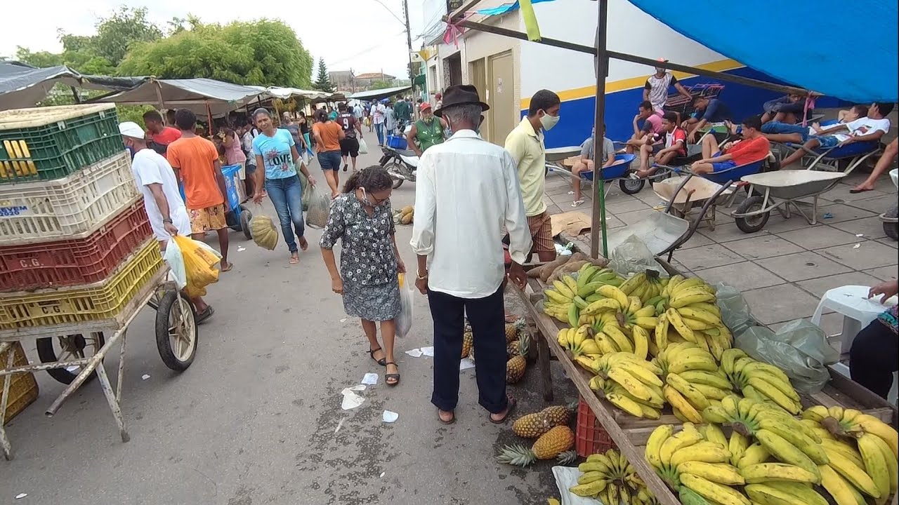 Mostrando a Feira Livre de Taquarana Alagoas