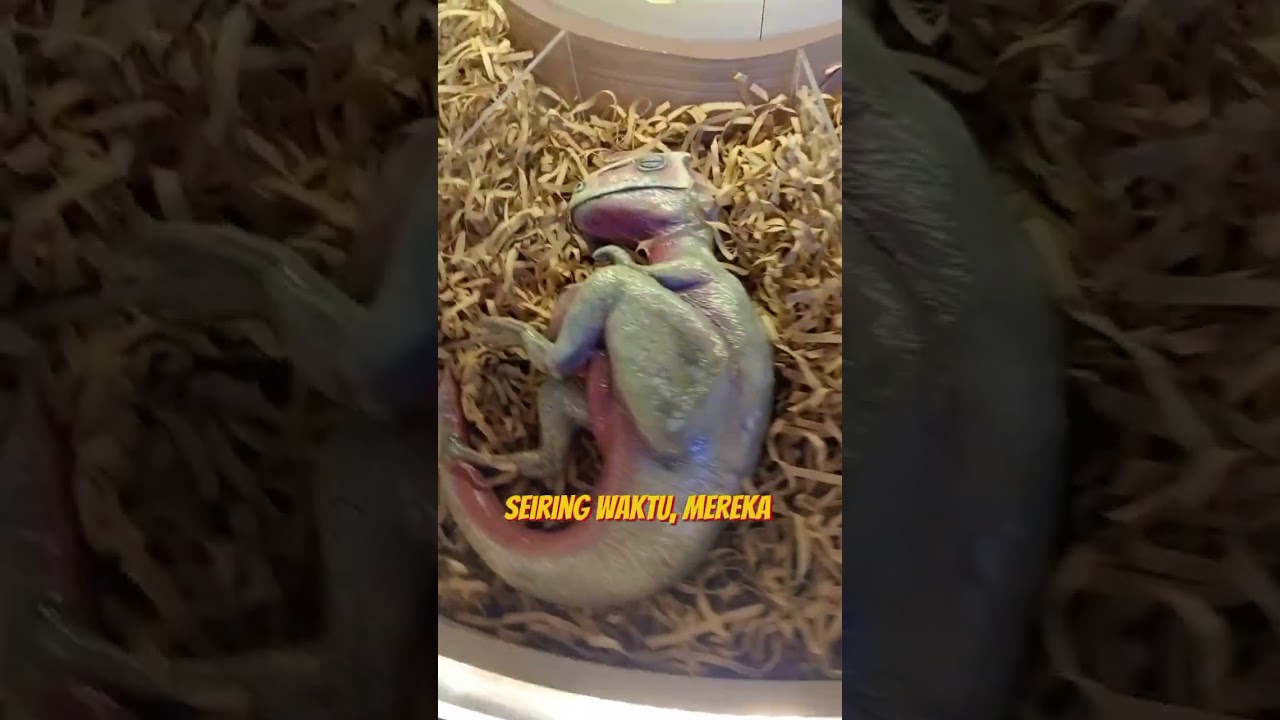 perkembangan Dinosaurus