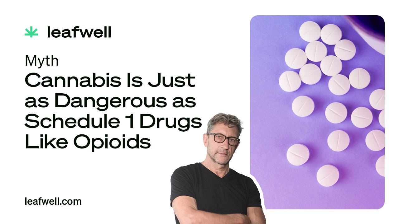 Why Is Cannabis Labeled as a Schedule 1 Drug?