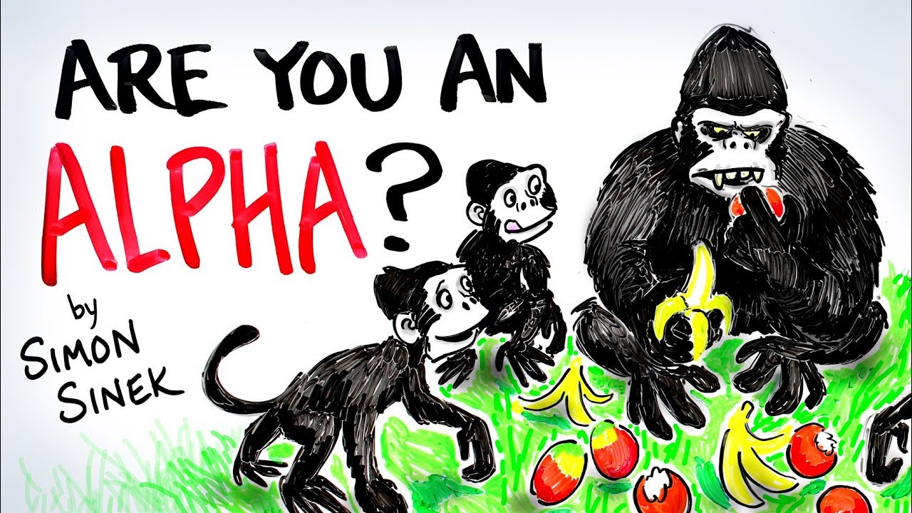 ARE YOU AN ALPHA? - Simon Sinek - Why Leaders Eat Last