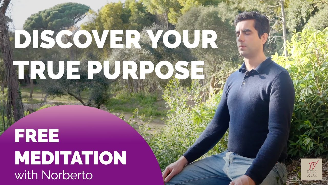 Discover your true purpose | Meditation with Norberto