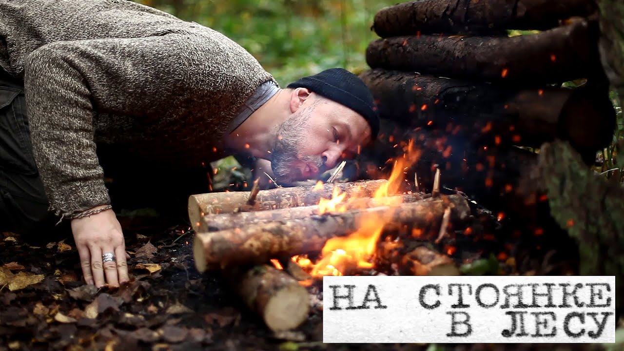 Осенний день в лесу.