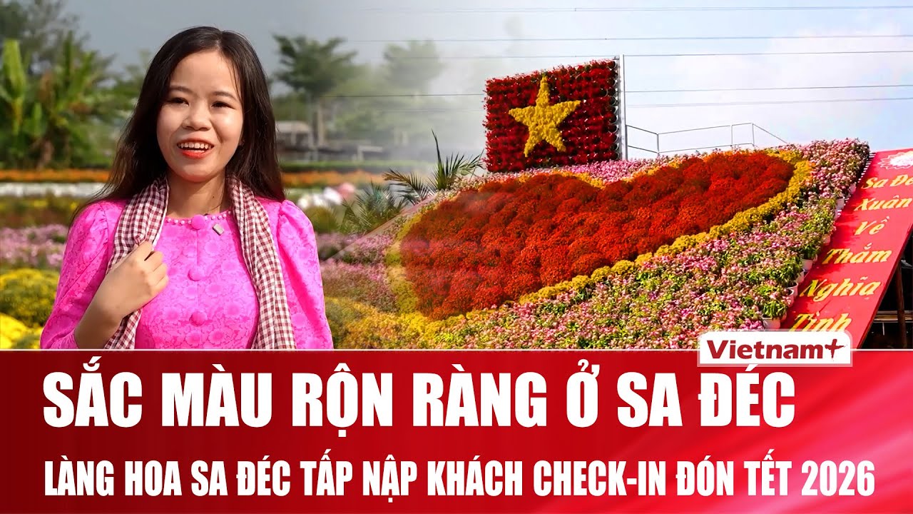 Thủ phủ hoa 300 năm tuổi Sa Đéc tấp nập khách “check-in” đón Tết 2026