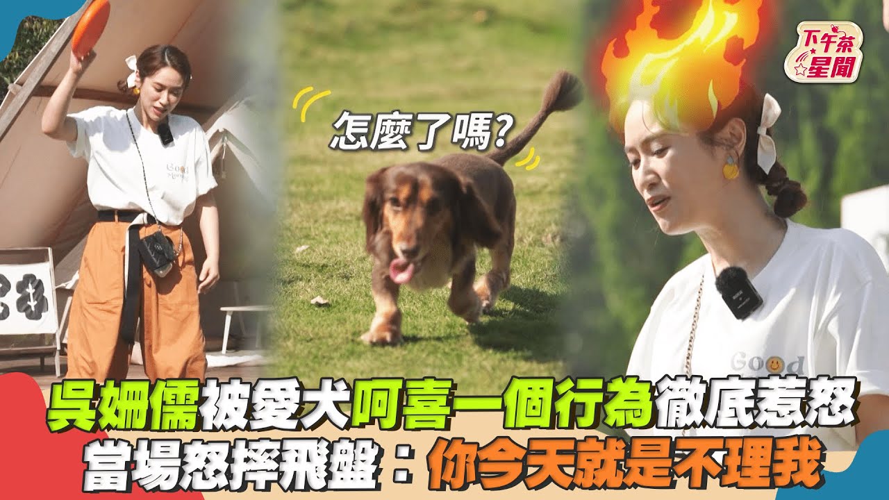 吳姍儒被愛犬呵喜一個行為徹底惹怒 當場怒摔飛盤：你今天就是不理我 ｜TVBS新聞｜擠看看