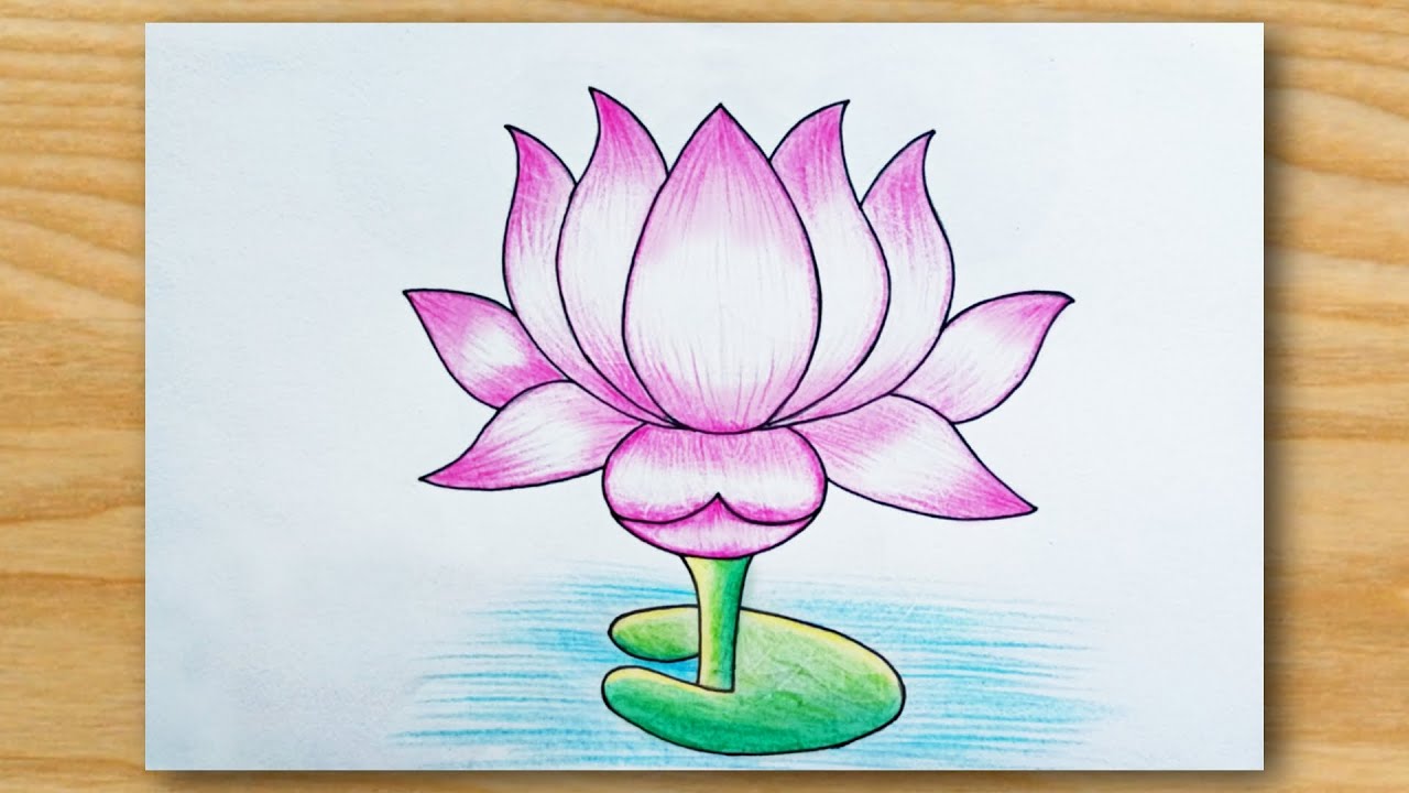 Easy Drawing || कमल का आसान चित्र || How To Draw Lotus Flower || Easy Flower Drawing step-by-step.