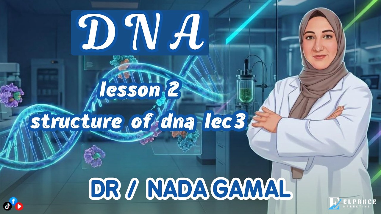 DNA Lesson 2: Structure of DNA | Lec 3 Explained Simply 🧬
