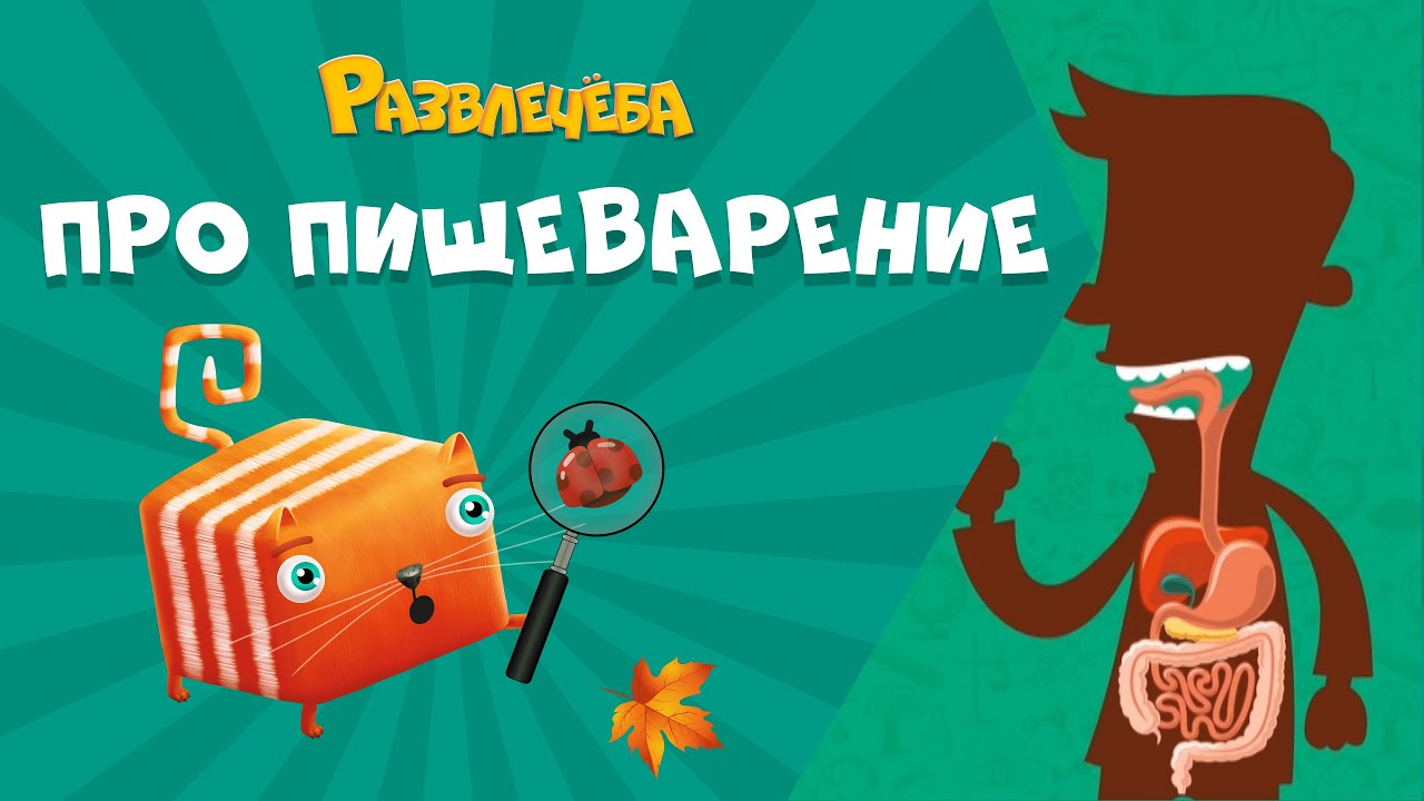 Развлечёба. Окружающий мир. Про пищеварение