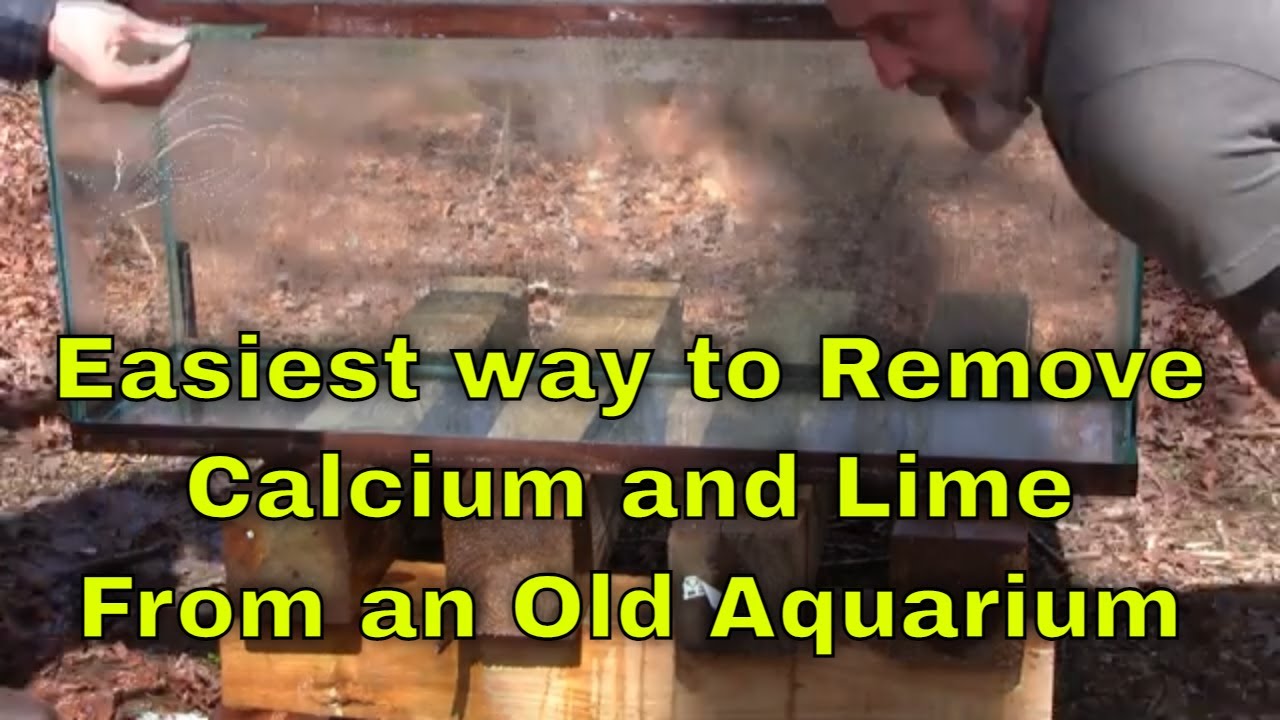 Aquarium Calcium and Lime Removal DIY - Remove Calcium and Lime Stains