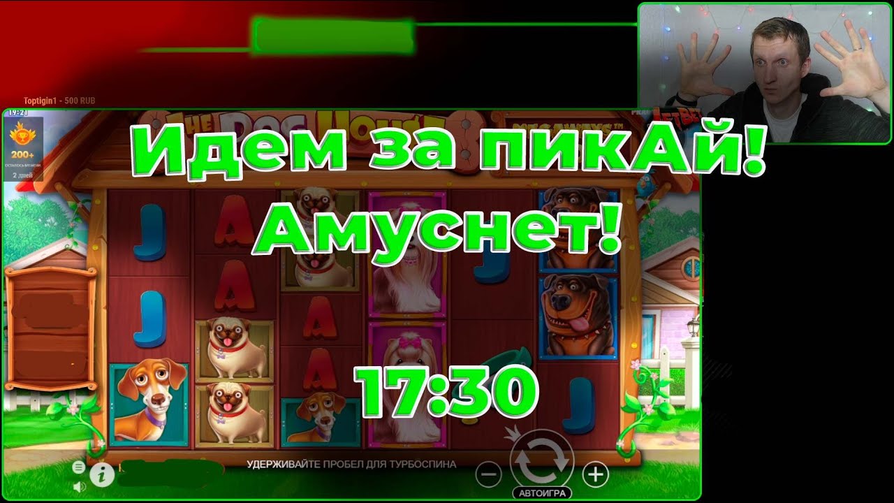 Идем за пикАй! Амуснет! Бетера!