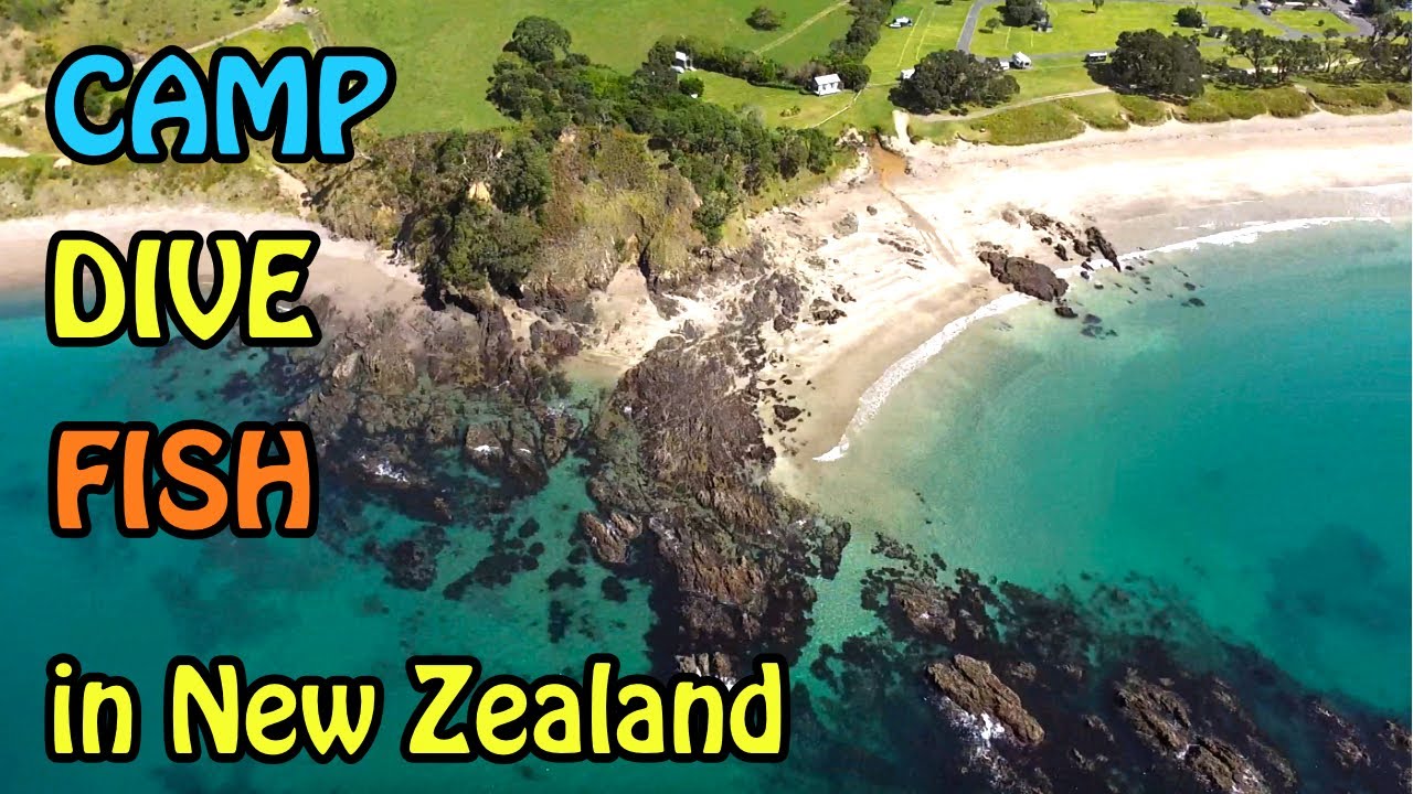EPIC SPOT for CAMPING, FISHING and DIVING in Northland, NZ