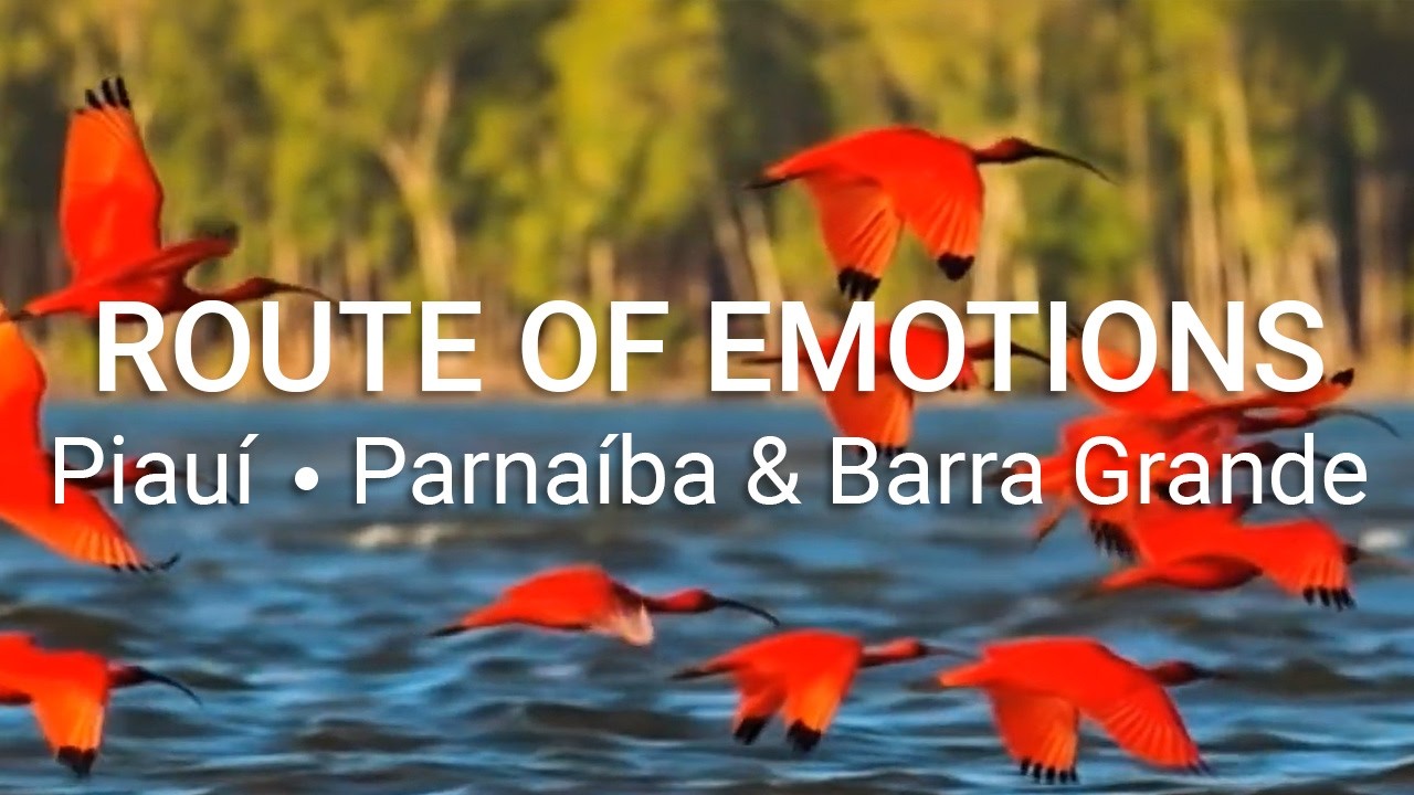 Parnaíba Delta & Barra Grande - Blumar DMC
