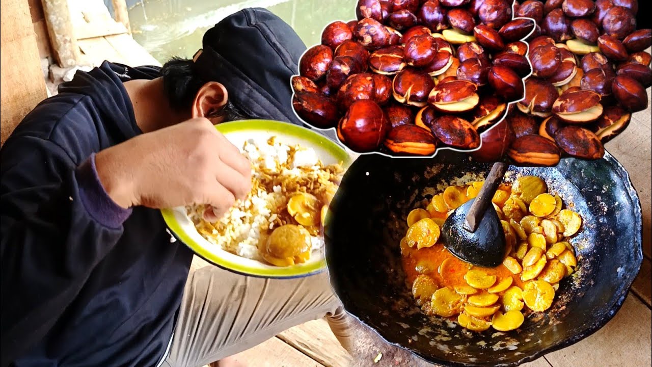 Anugerah alam pedesaan, pria ini panen lombok masak jengkol dan tahu kuah