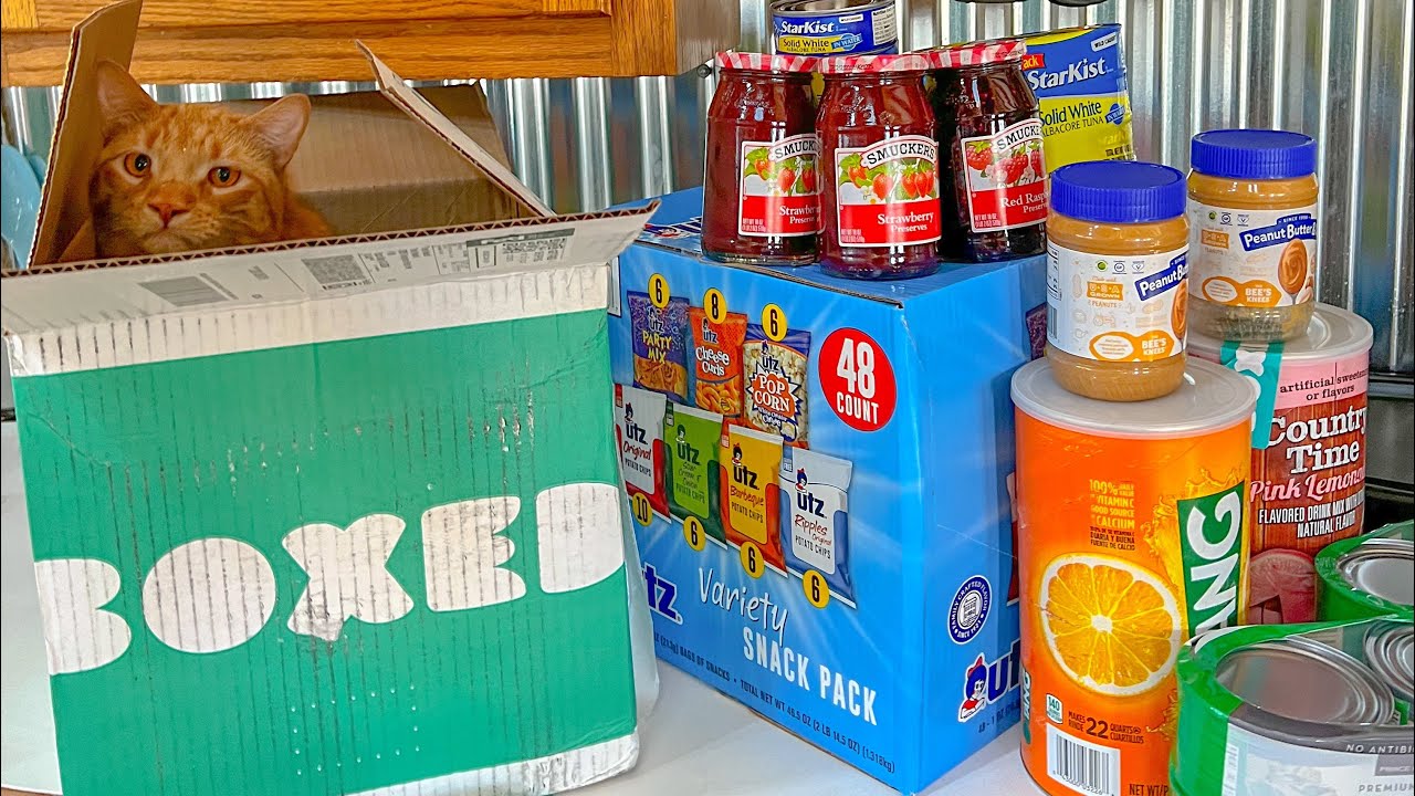 Boxed Wholesale Food Unboxing! Buy in Bulk online!