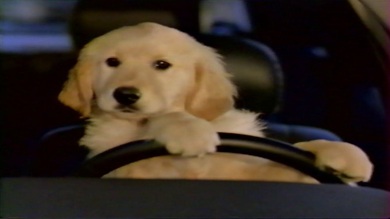 Pub Renault Safrane - Le passager