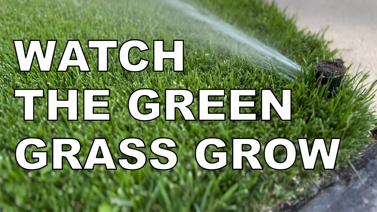 How much water does your lawn need weekly.