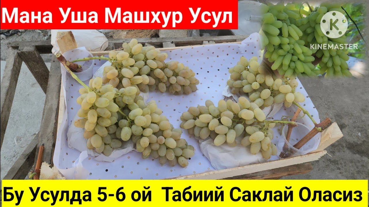 Узумни 