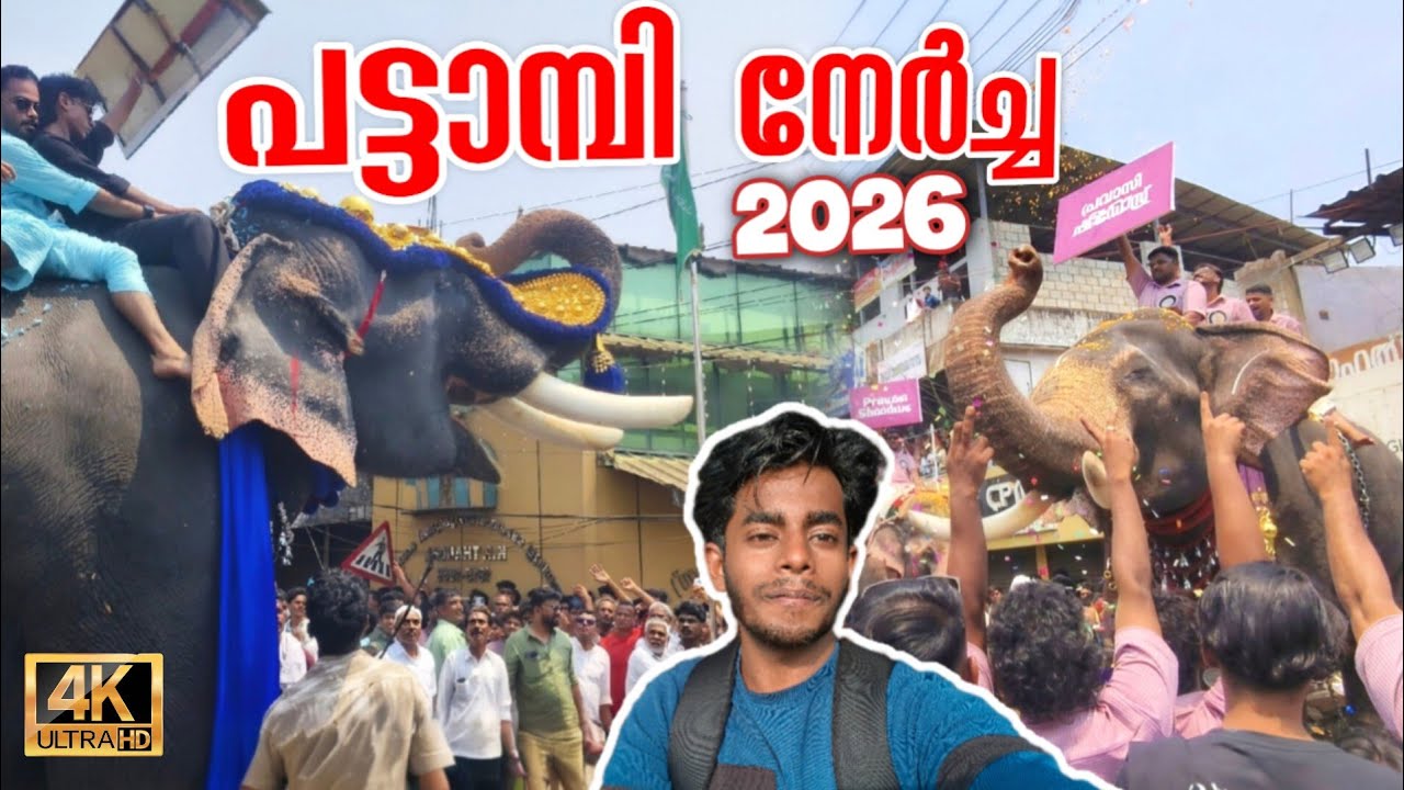 Pattambi Nercha 2026 🔥 Pattambi Fest 2026 | pattambi nercha 2026 live #pattambi_2026 #pattambi_live