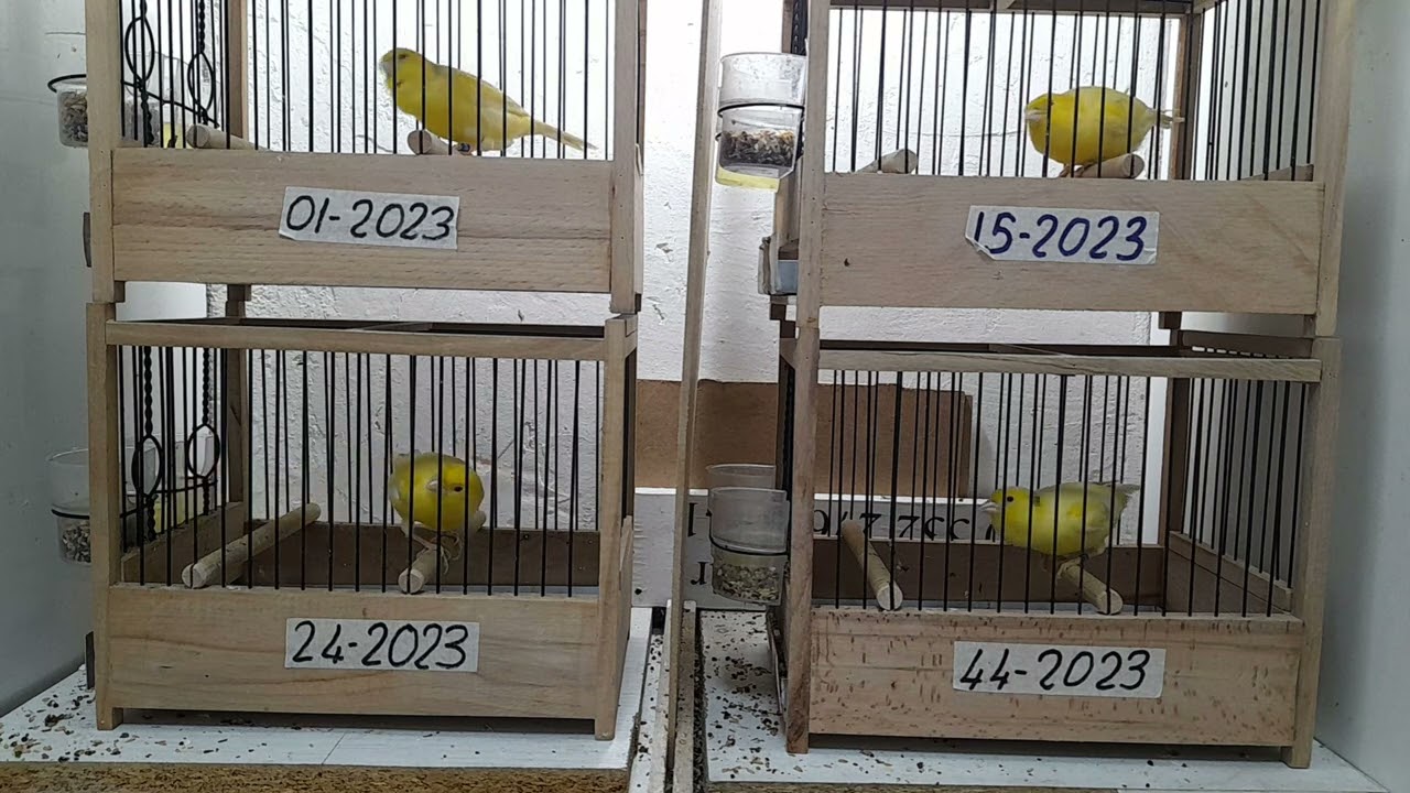 4 Aralık 2023