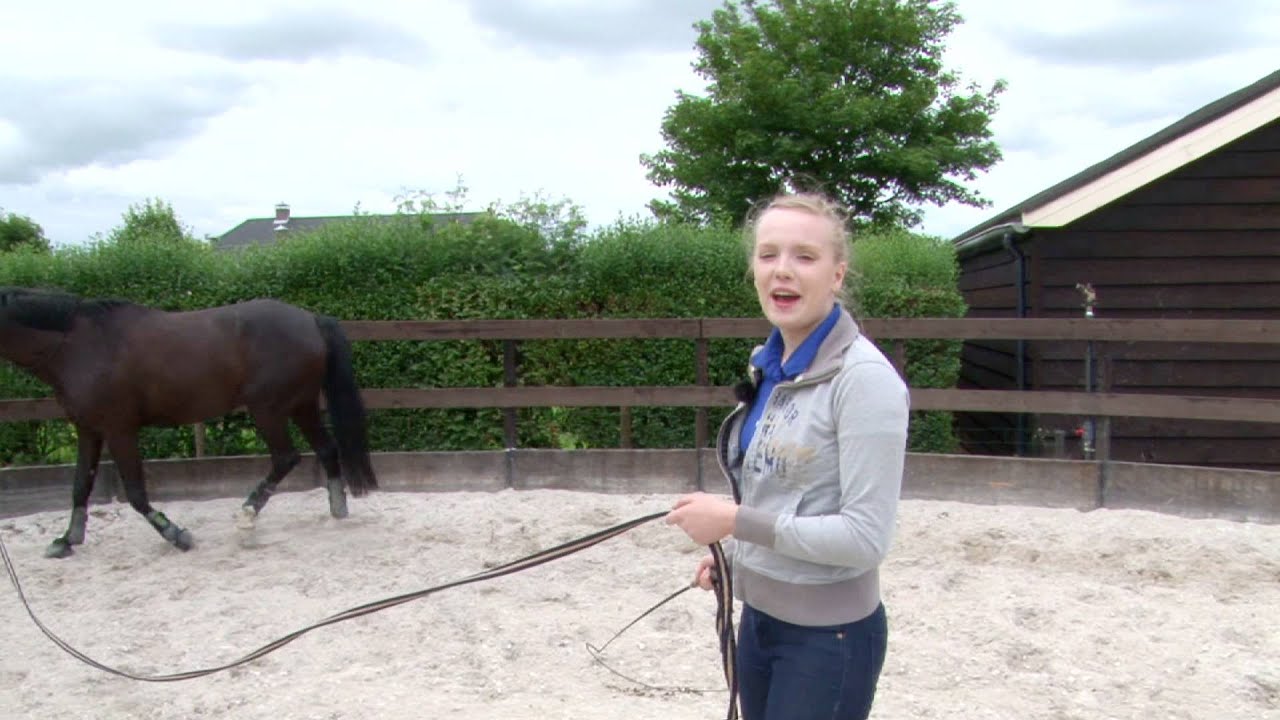 Longeren | PaardenpraatTV