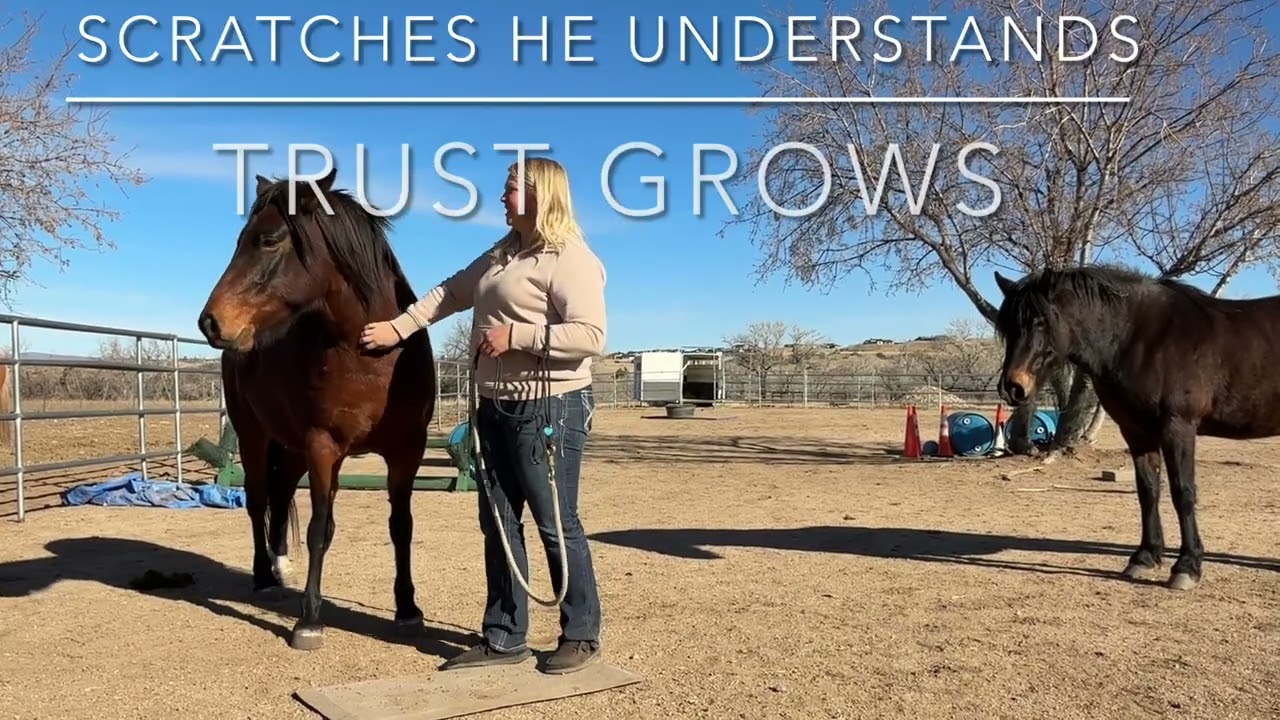 Katie & Amadeo First Trailer Loading 