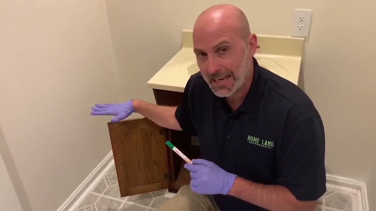 How to take mold samples with a bio-slide and swab