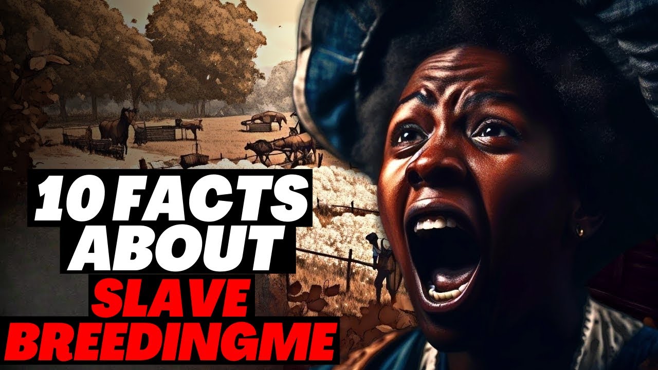 The Sad Truth About Slave Breeding Farms