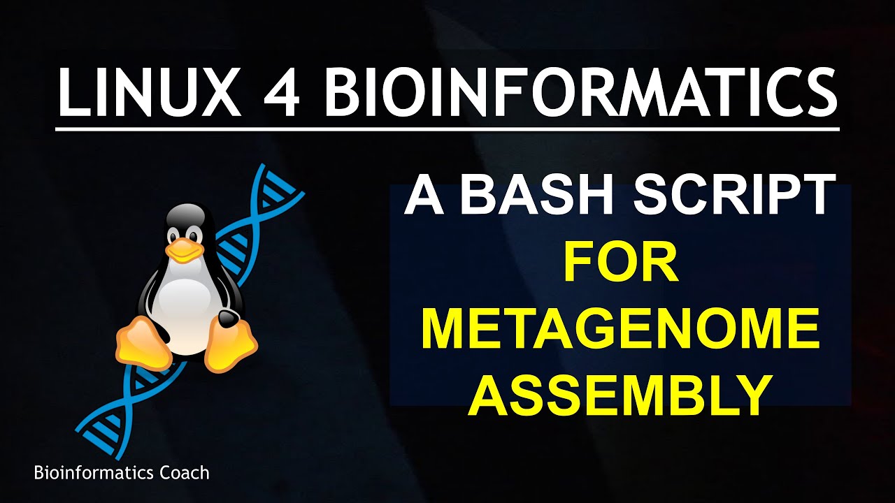 Metagenome assembly  with Megahit- How to write a bash script to handle multiple samples | Patreon
