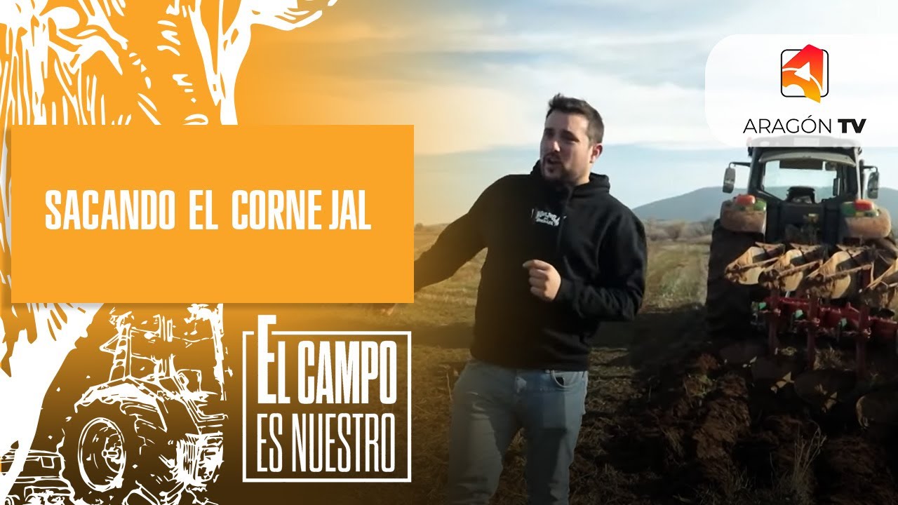 Dionís saca el cornejal