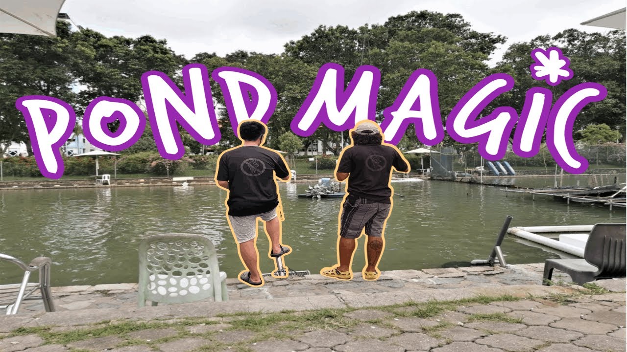 Pond Magic : D'Best Pond: The Jungle Bug