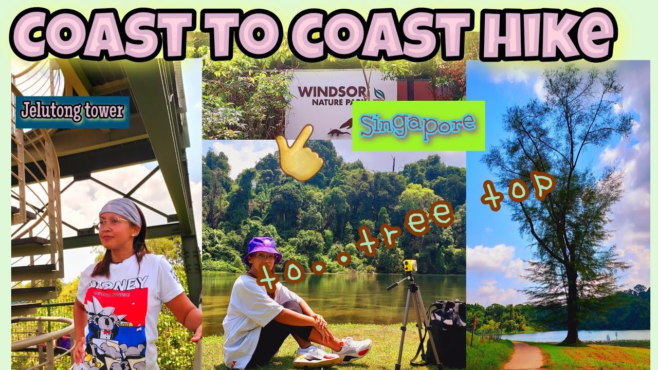 JELUTONG TOWER TO WINDSOR PARK ( COAST TO COAST HIKE ALONE ) MACRITCHIE SINGAPORE|VhandzkyVlog
