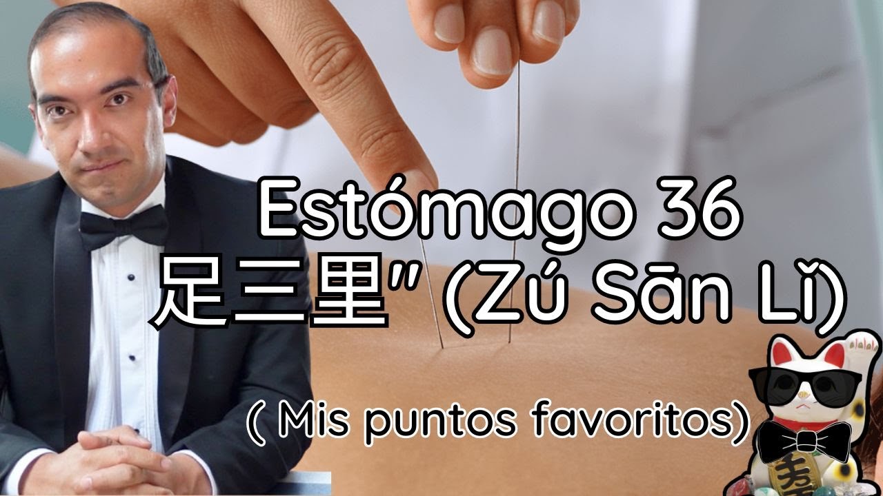MIS PUNTOS FAVORITOS: ESTOMAGO 36 足三里