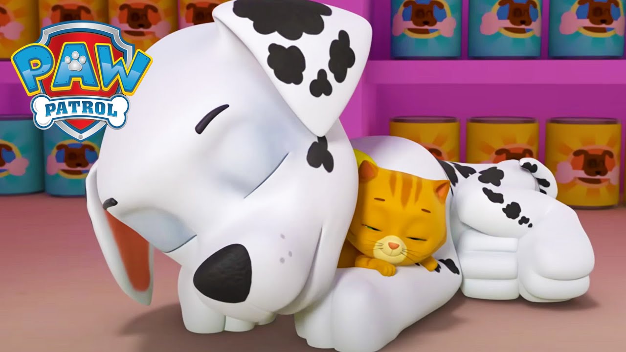 Naptime with Marshall! - PAW Patrol UK - Cartoons for Kids Compilation
