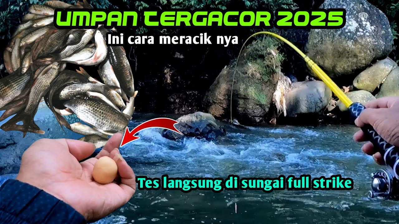Cara Membuat Umpan dan Trik Mancing Di Sungai Arus Deras Untuk Pemula || Full strike (micro fishing)
